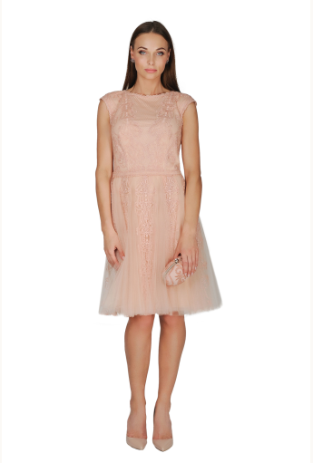 65_pink-shadow-full-skirt-tulle-dress.png