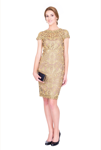 589_golden-embroidery-dress.png