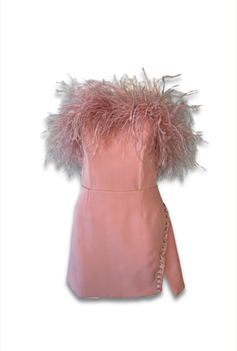 Rose Gabrielle Dress with Feathers Rent B