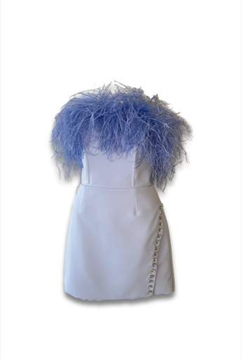 Blue Gabrielle Dress with Feathers Rent B