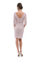 549_pink-poema-in-lace-dress.png