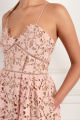 821_azaelea-blush-pink-dress.png
