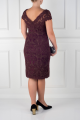 890_blackberry-embroidered-dress.png