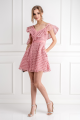 1020_pink-frill-mini-dress.png