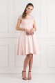 1039_pink-lace-upper-dress.png
