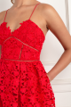 1446_red-mini-azaelea-dress.png
