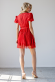 1886_red-chiffon-mini-dress.png