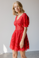 1891_fine-cord-red-lace-mini-dress.png